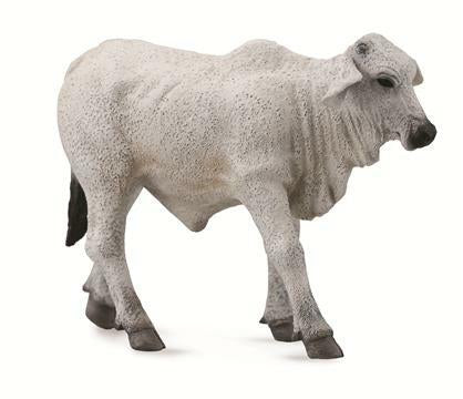 Brahman Calf Grey - Collecta