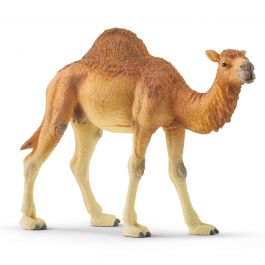 Dromedary Camel - Schleich