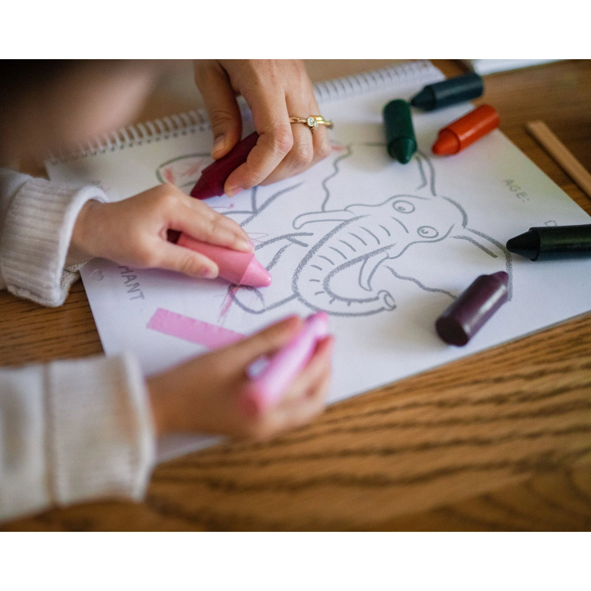 Endangered Animals Adventure Colouring Book - Honeysticks