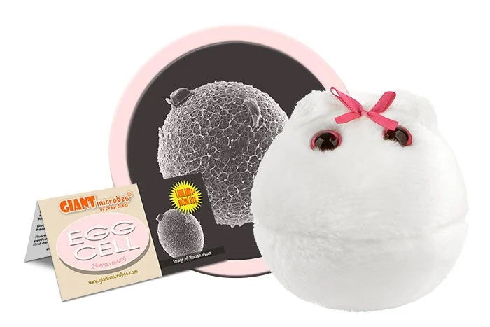 Egg Cell Plush Giant Microbe