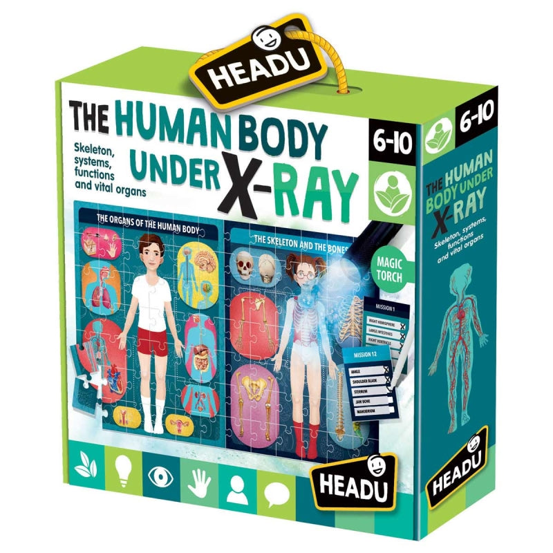 Human Body Under X-Ray Puzzle - Headu