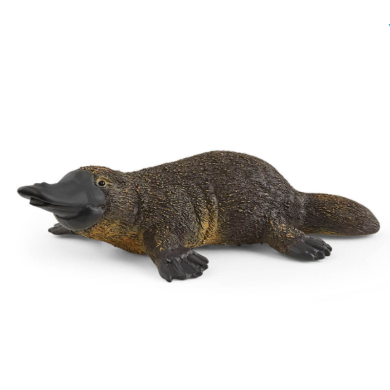 Platypus - Schleich