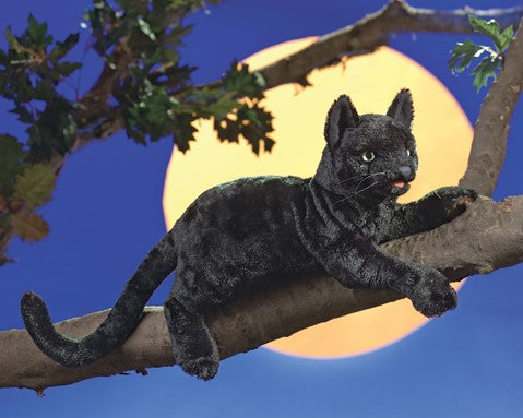 Black Cat Hand Puppet - Folkmanis