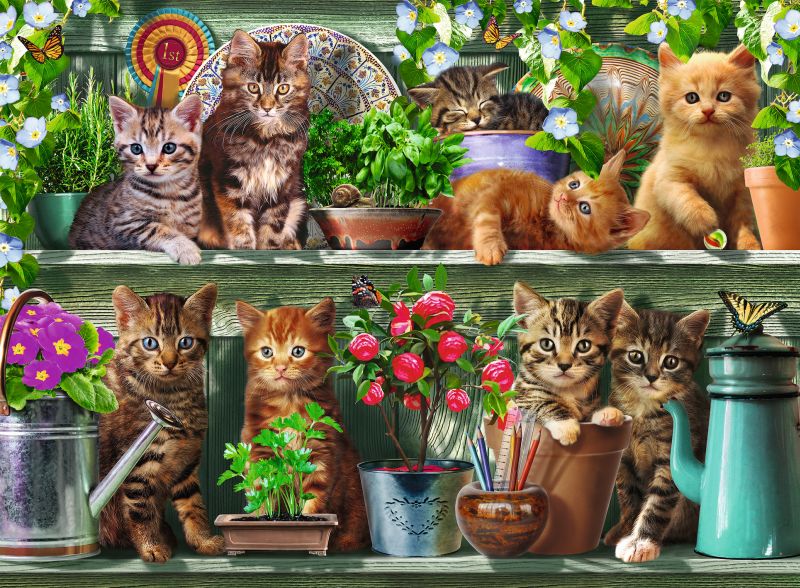 Cats on the Shelf Puzzle 500pc - Ravensburger