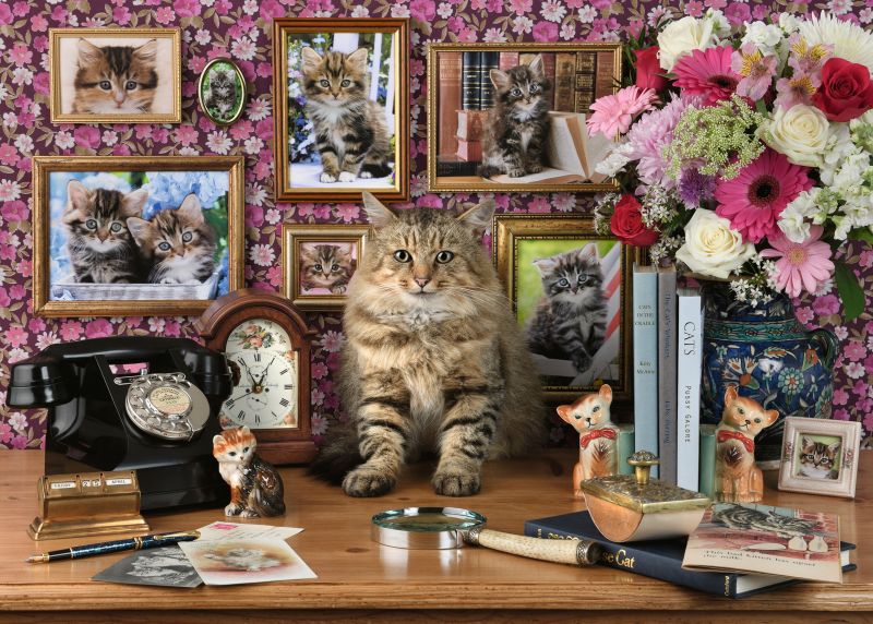 My Cute Kitty 1000pc Puzzle - Ravensburger