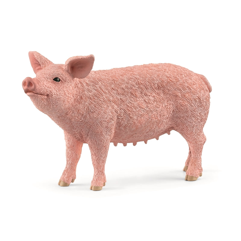 Pig - Schleich