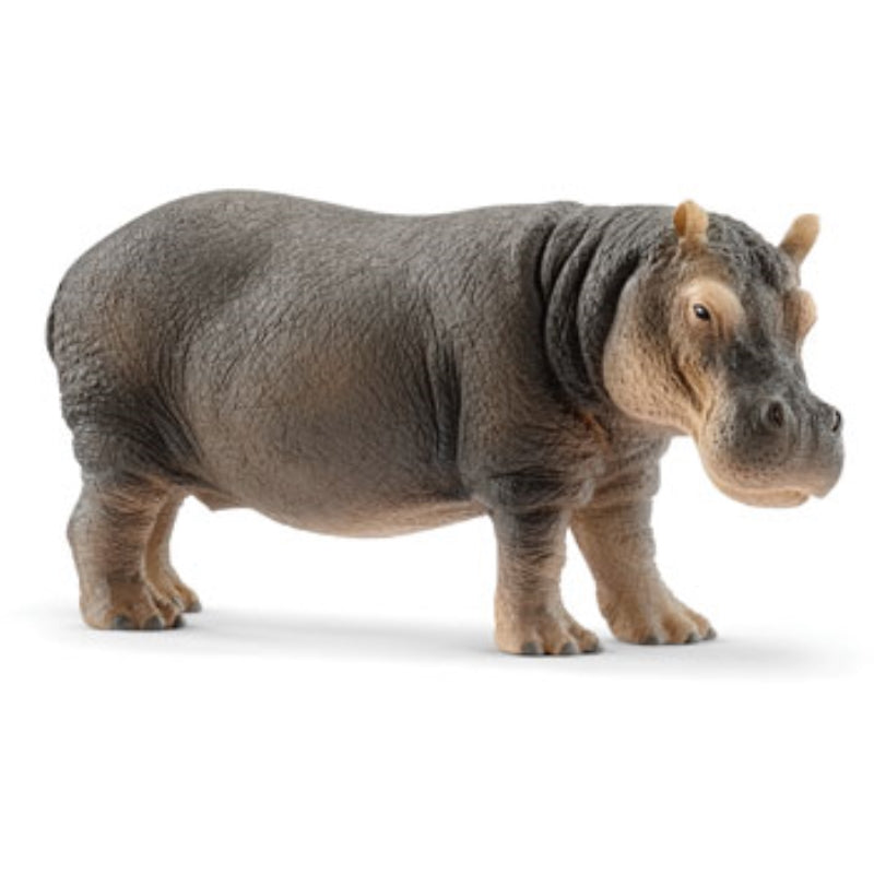 Hippopotamus - Schleich