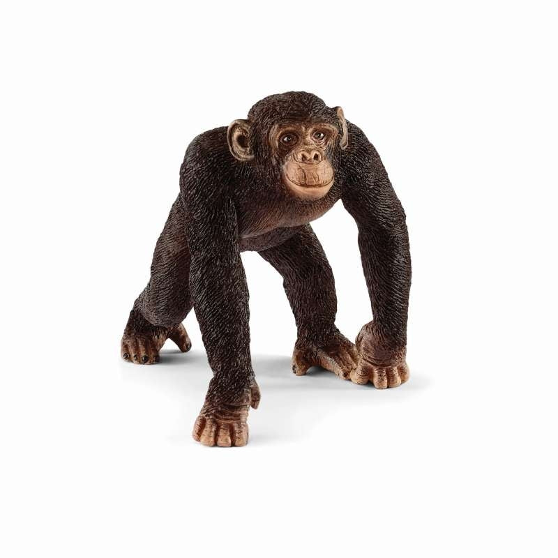 Chimpanzee Male - Schleich