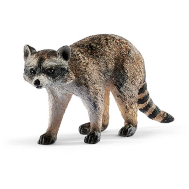 Raccoon - Schleich