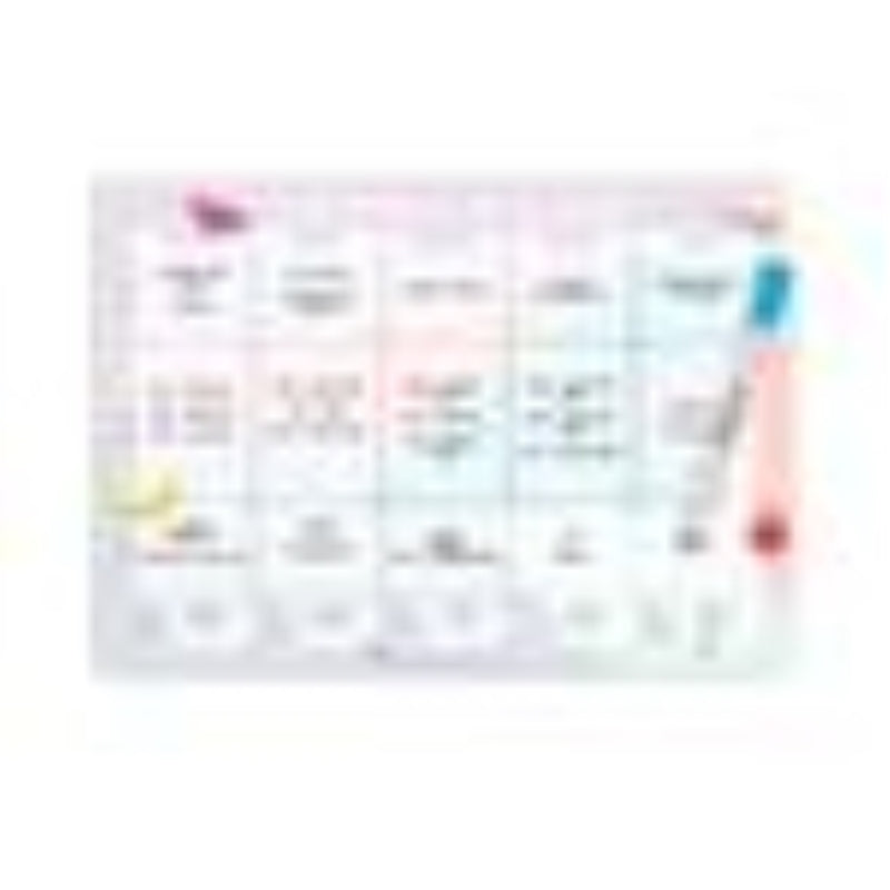 Magnetic Lunchbox Planner Write On - Sprout and Sparrow